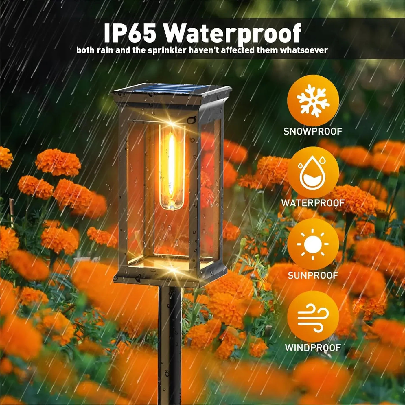 LED Solar Pathway Lights – Waterproof Outdoor Lamp